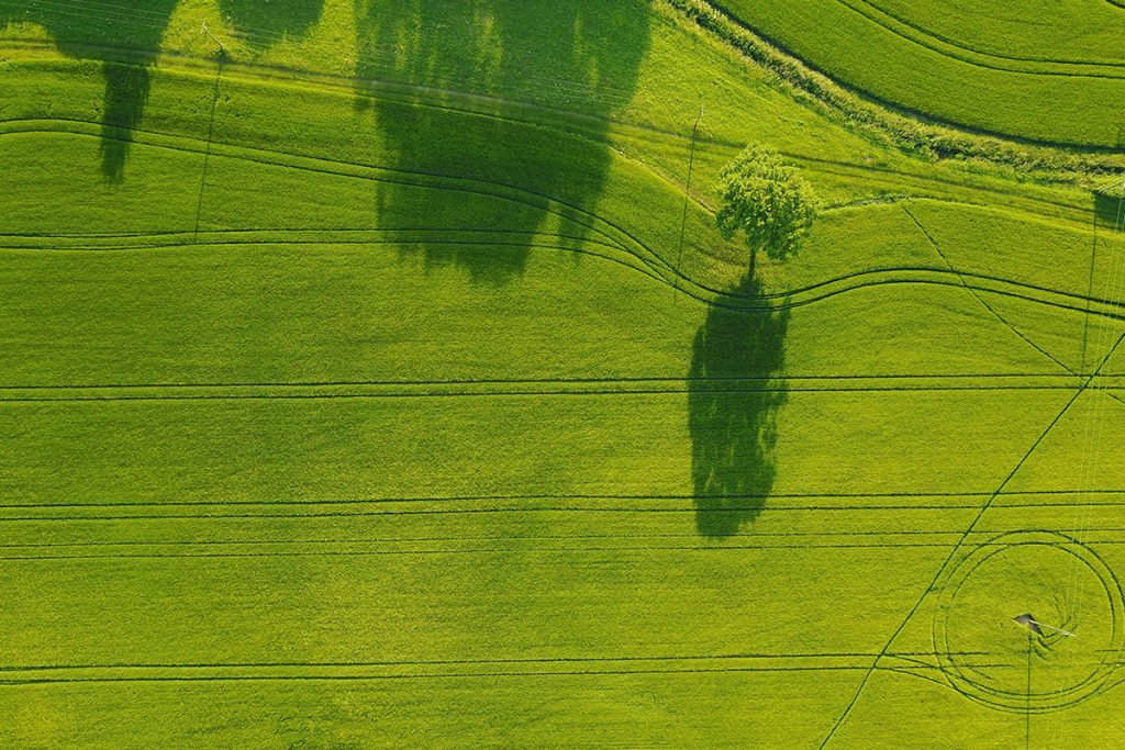 6 Undeniable Benefits of Renewable Energy Solutions in Canada POST2 greenfield trees 1024x683 - 6 Undeniable Benefits of Renewable Energy Solutions in Canada