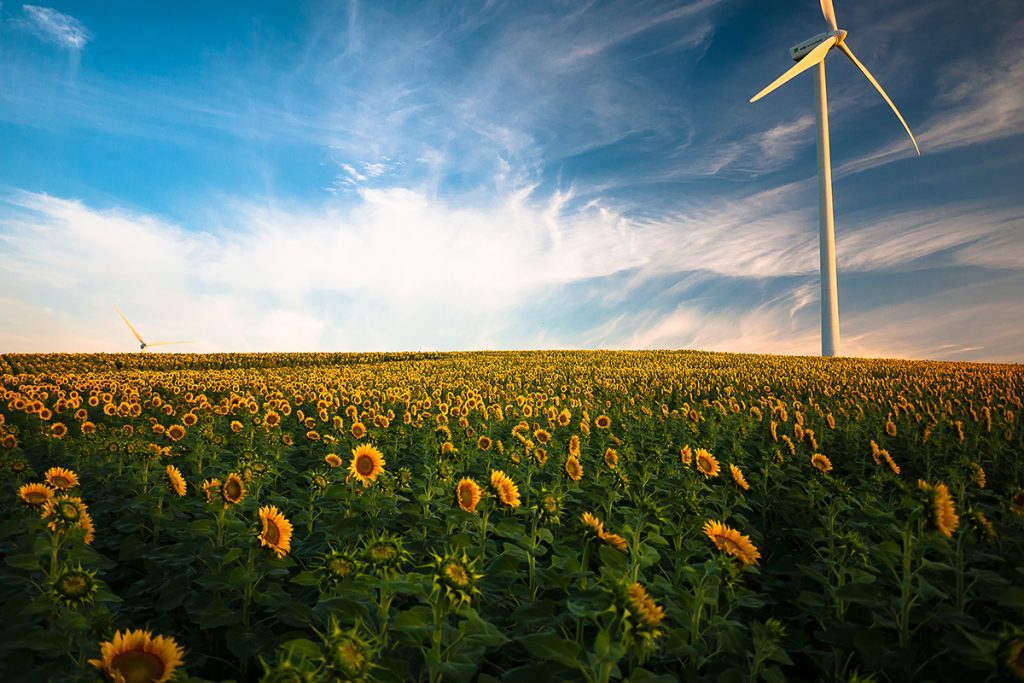 6 Undeniable Benefits of Renewable Energy Solutions in Canada POST2 windpower flowers 1024x683 - 6 Undeniable Benefits of Renewable Energy Solutions in Canada